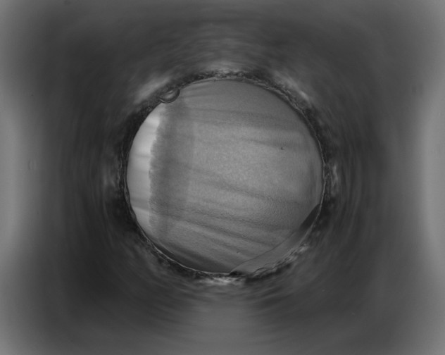 X0000086751158200705041422