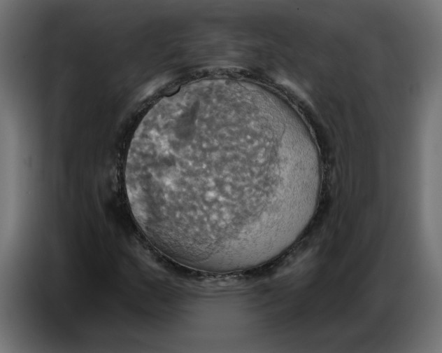 X0000086751159200705041422