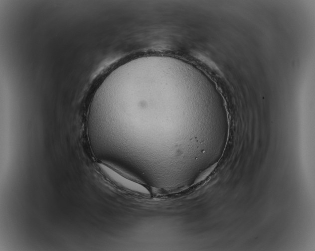 X0000086751160200705041422