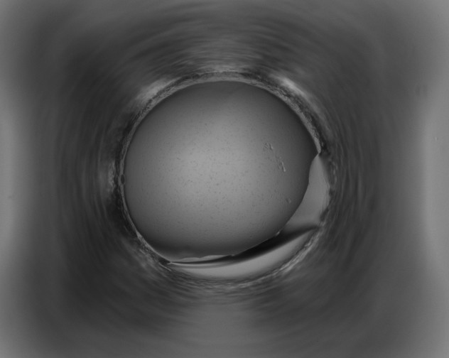 X0000086751161200705041422