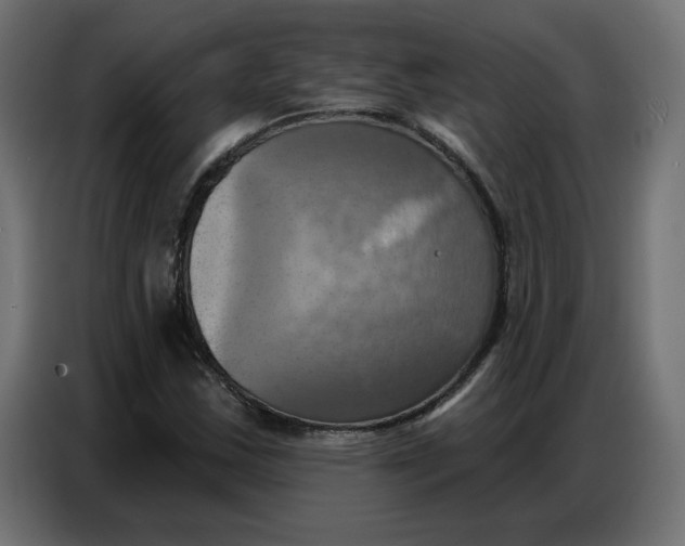 X0000086751163200705041421