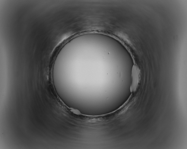 X0000086751165200705041421