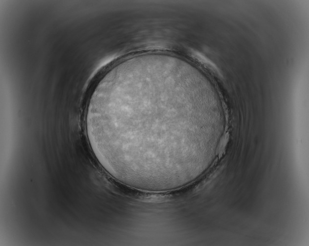 X0000086751166200705041421