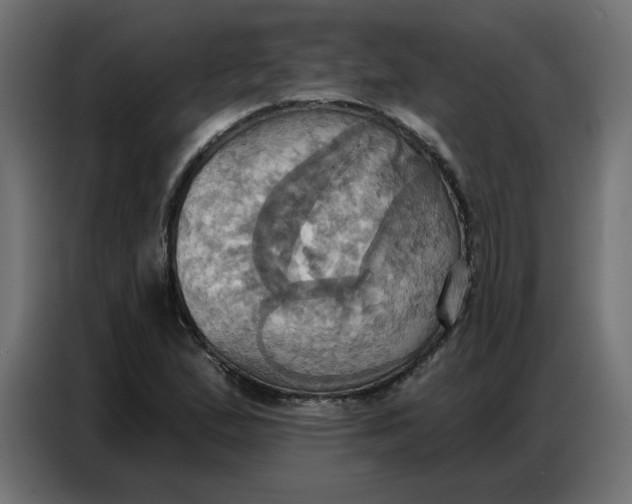 X0000086751167200705041421