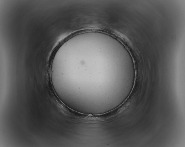 X0000086751168200705041421