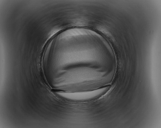 X0000086751170200705041421