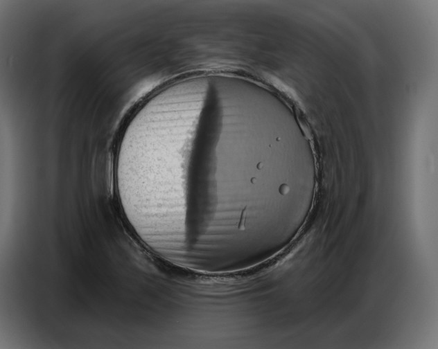 X0000086751171200705041421