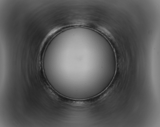 X0000086751172200705041421