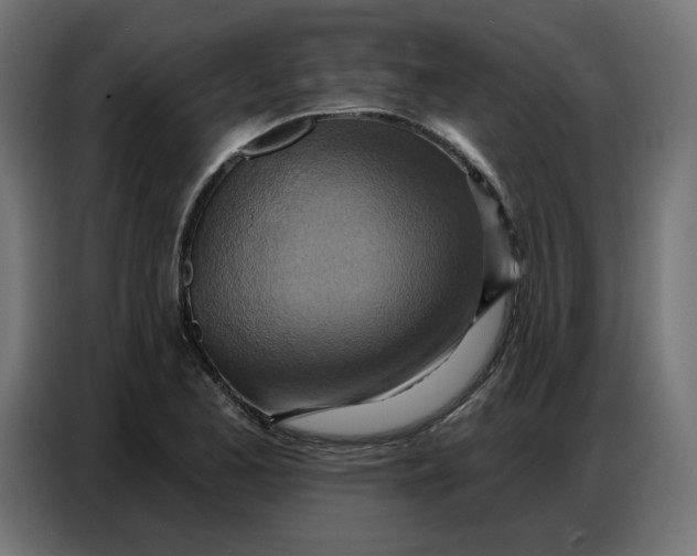 X0000086751173200705041421