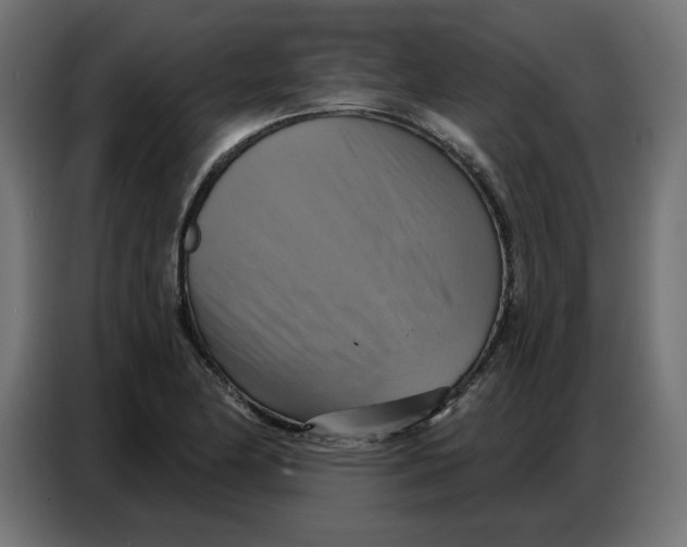 X0000086751174200705041421