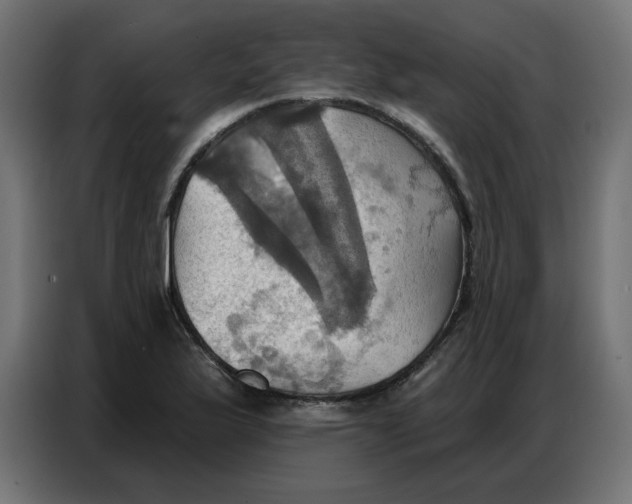 X0000086751175200705041421