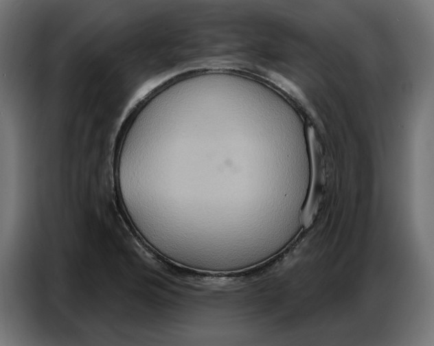 X0000086751176200705041421