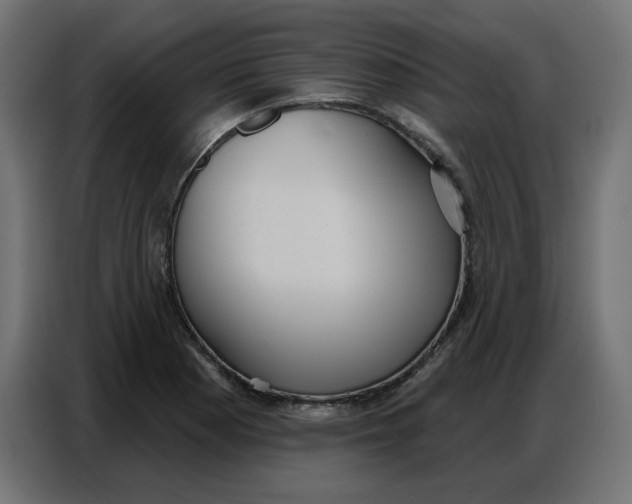 X0000086751177200705041421