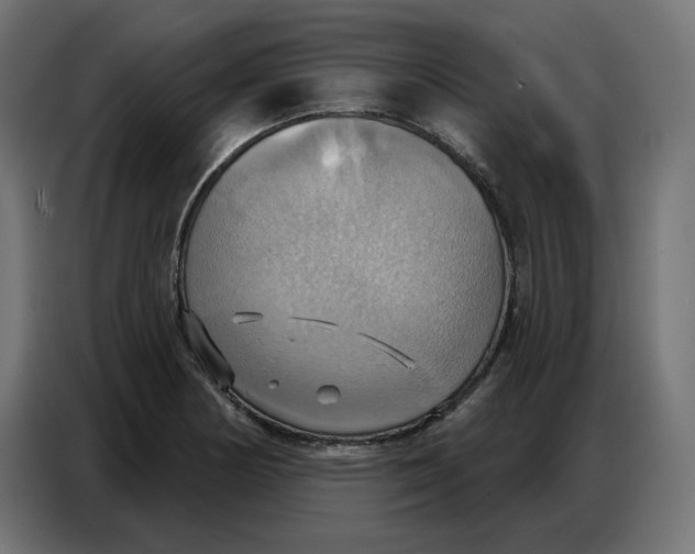 X0000086751178200705041421