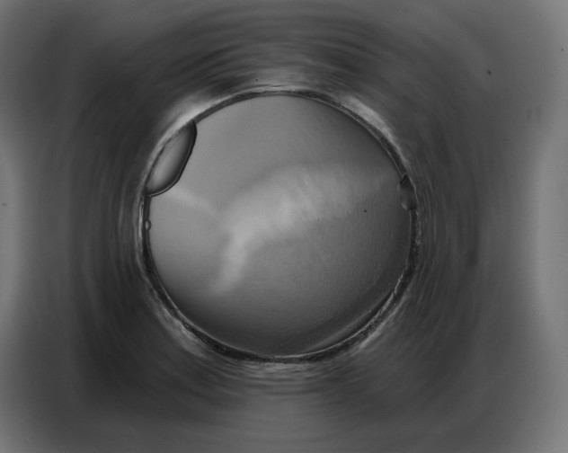 X0000086751179200705041421