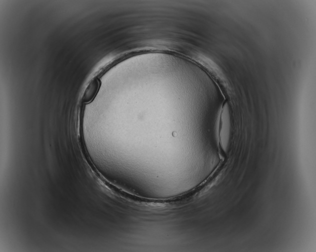 X0000086751180200705041421