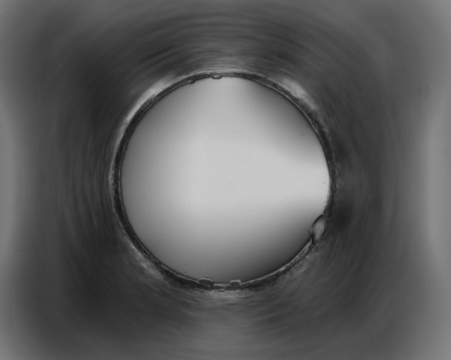 X0000086751181200705041421