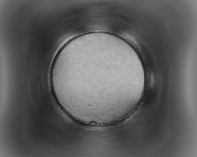 X0000086751182200705041421