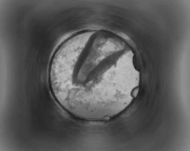 X0000086751183200705041421