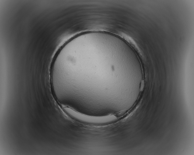 X0000086751184200705041421