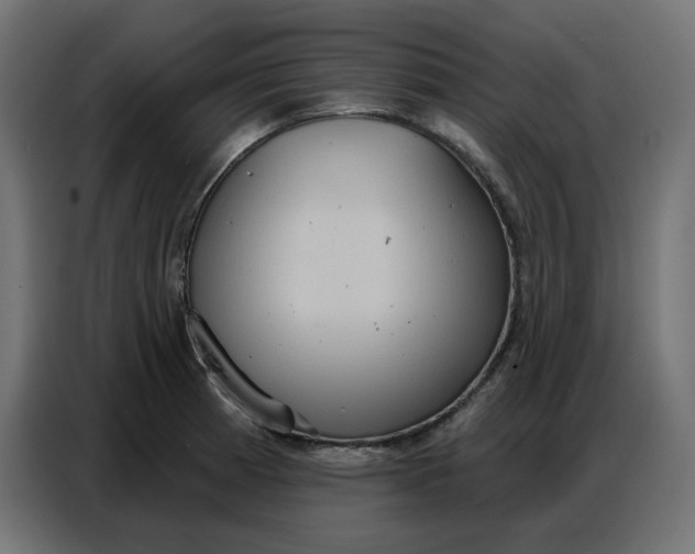 X0000086751185200705041421