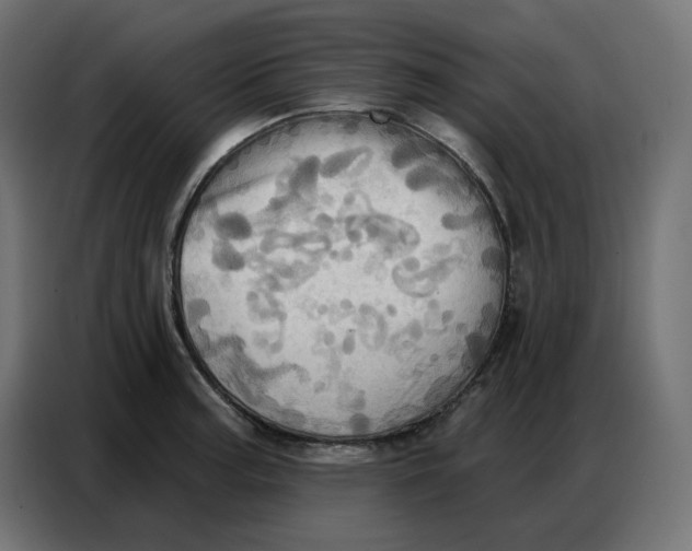 X0000086751187200705041421