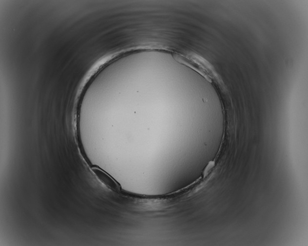 X0000086751188200705041421