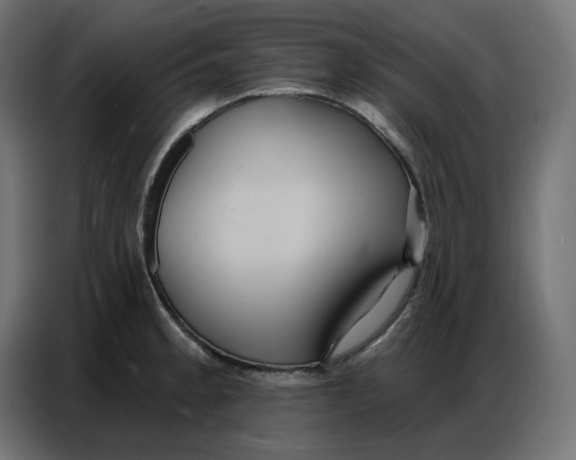 X0000086751189200705041421