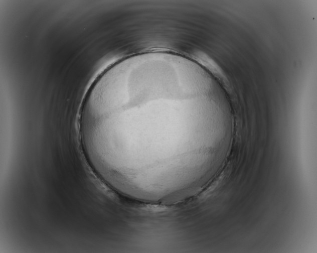 X0000086751190200705041421