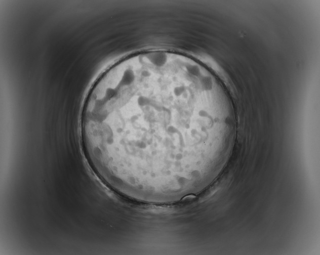 X0000086751191200705041421