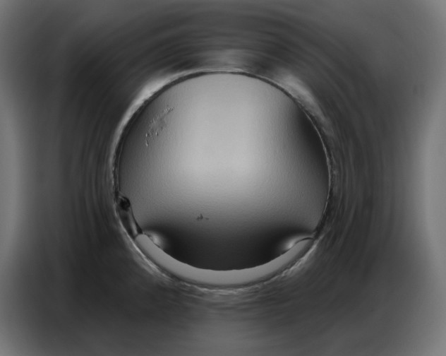 X0000086751192200705041421