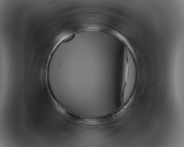 X0000086751194200705041421