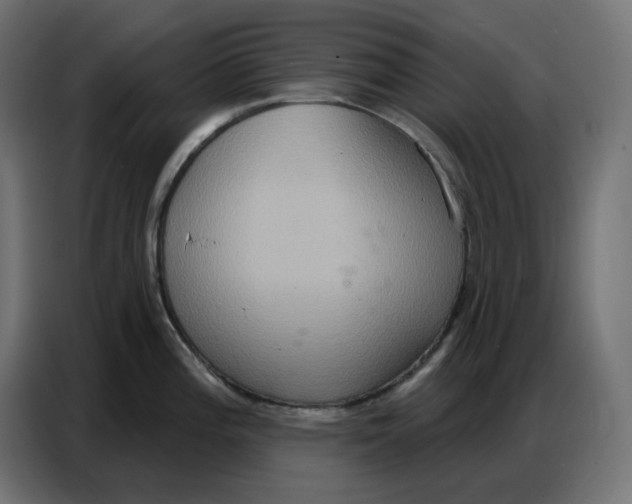 X0000086751196200705041421