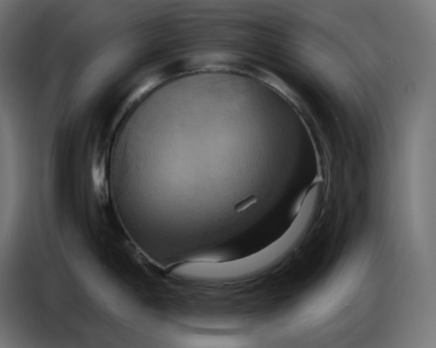 X0000086751198200705041421