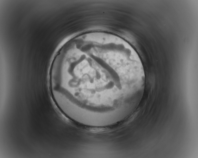 X0000086751199200705041421