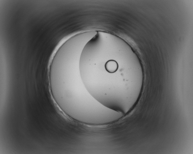 X0000086751200200705041421