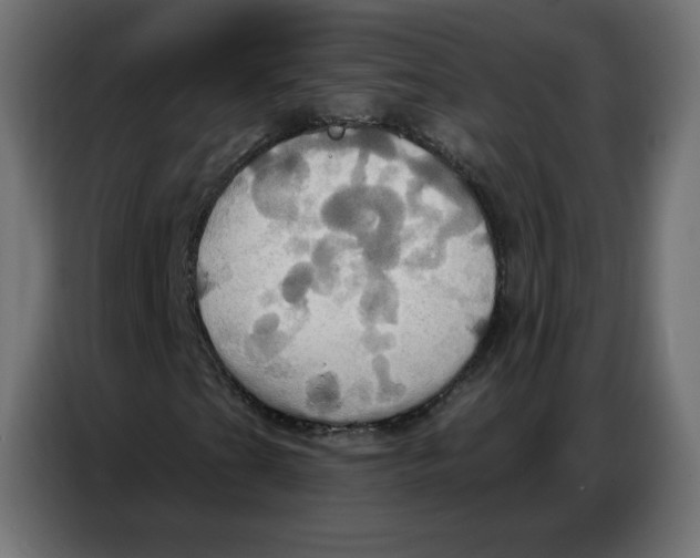 X0000086751201200705041420