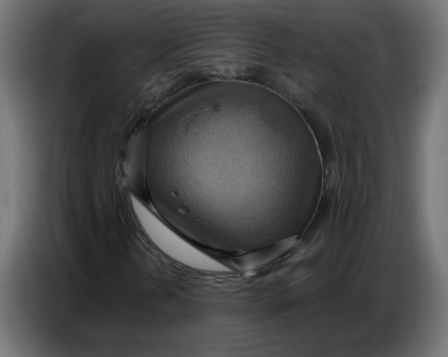 X0000086751202200705041420