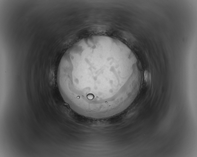 X0000086751203200705041420