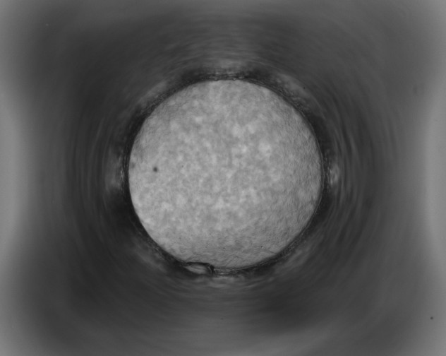 X0000086751204200705041420