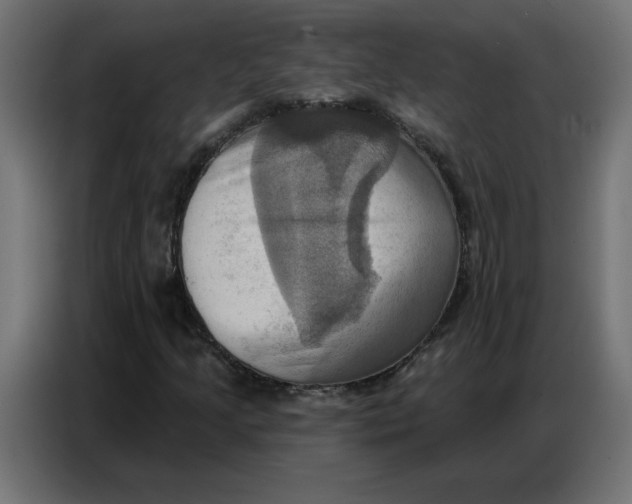 X0000086751205200705041420