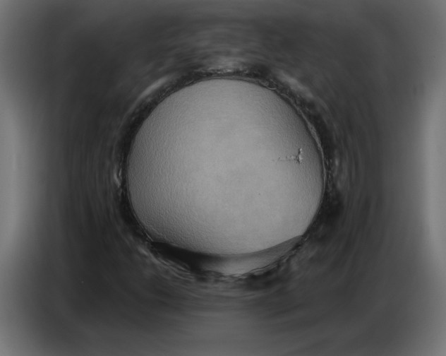 X0000086751206200705041420