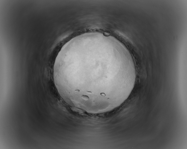 X0000086751207200705041420