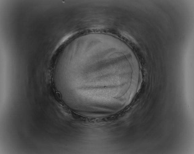 X0000086751208200705041420