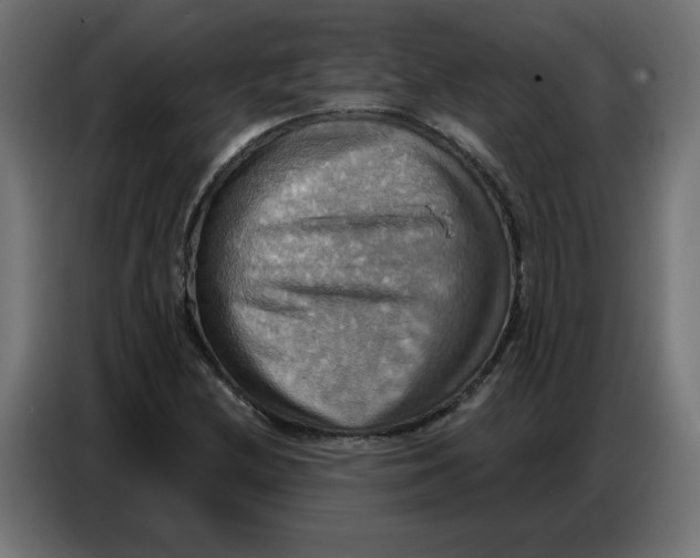 X0000086751212200705041421