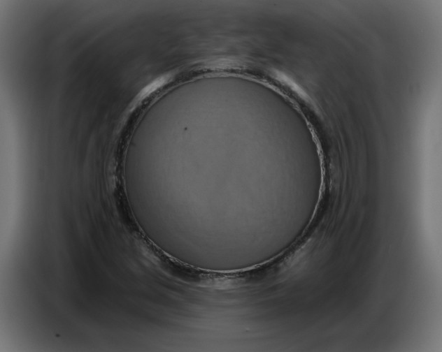 X0000086751213200705041421