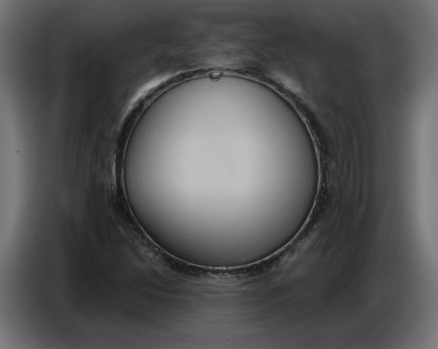 X0000086751214200705041421