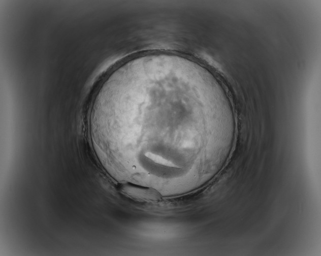 X0000086751215200705041421