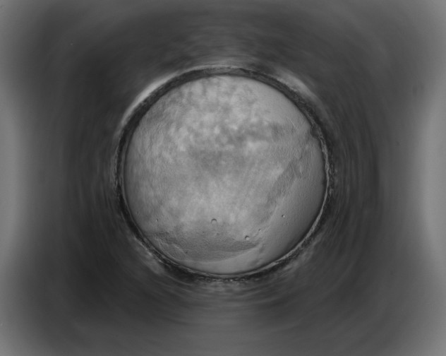 X0000086751216200705041421