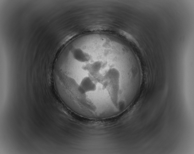 X0000086751217200705041421